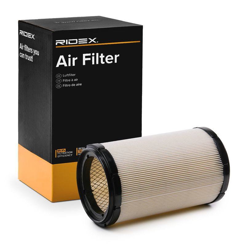FIL-AIR-RID-LAN-NEW-0013 #1