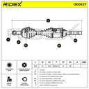 TRN-MSC-RID-LAN-NEW-0036 #3