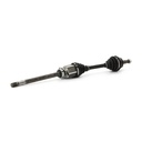 TRN-MSC-RID-LAN-NEW-0031 #1