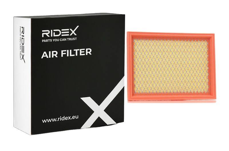 FIL-AIR-RID-LAN-NEW-0001 #4