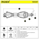 TRN-MSC-RID-LAN-NEW-0060 #1