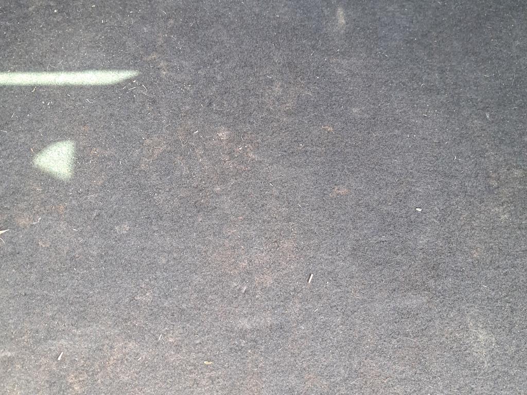 Photo 34