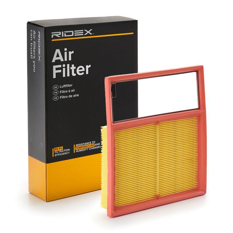 FIL-AIR-RID-FOR-NEW-0010 #3