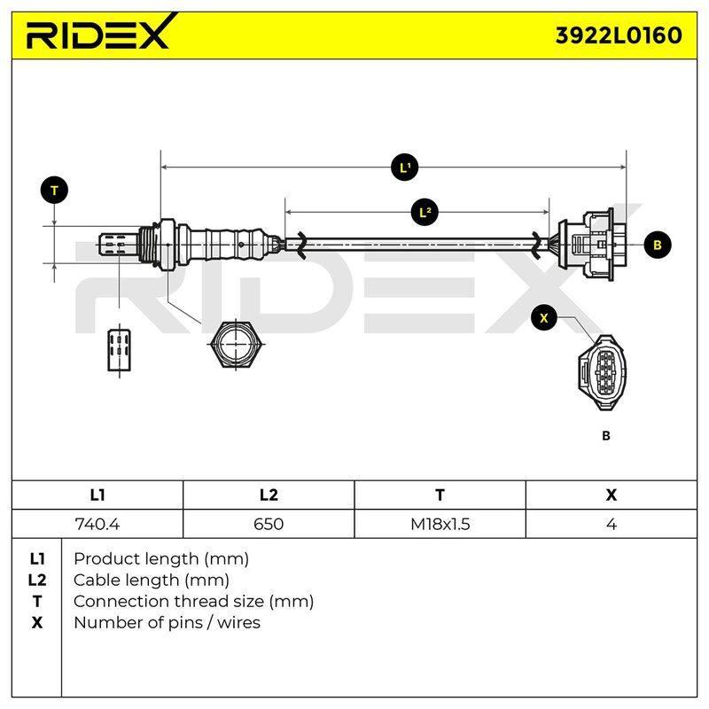 ELE-SEN-RID-CH2-NEW-0096 #2