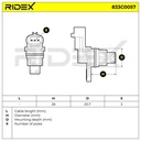 ELE-SEN-RID-SUZ-NEW-0001 #4