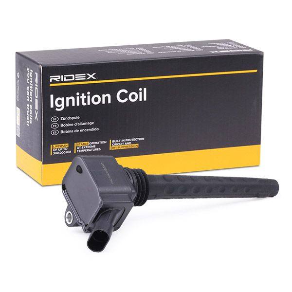 IGN-ICO-RID-LAN-NEW-0008 #4