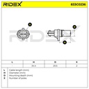 ELE-SEN-RID-SAA-NEW-0006 #4