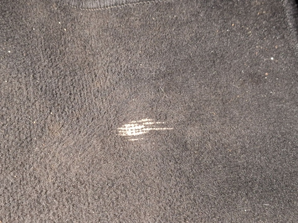 Photo 45
