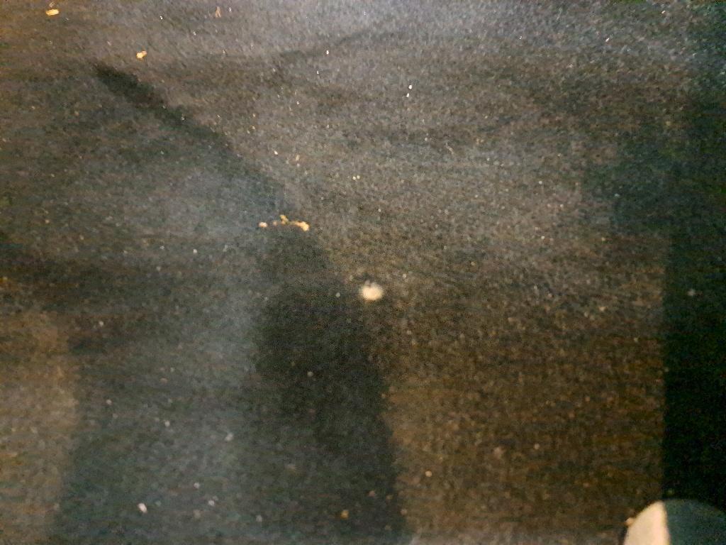 Photo 76