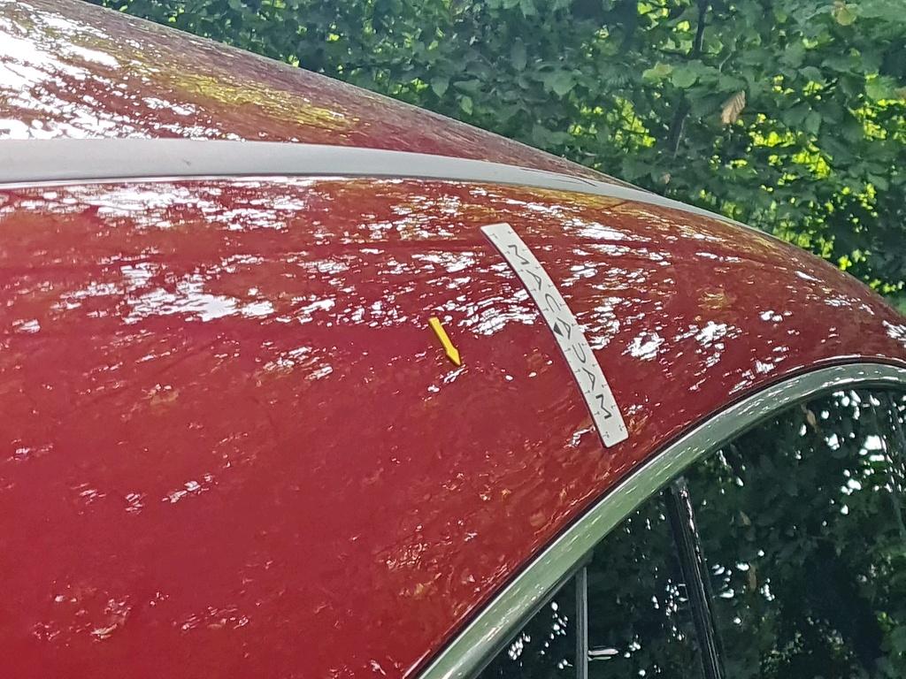 Photo 50