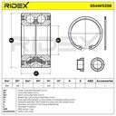 BEA-WBE-RID-MER-NEW-0009 #2
