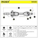 TRN-MSC-RID-MER-NEW-0045 #4