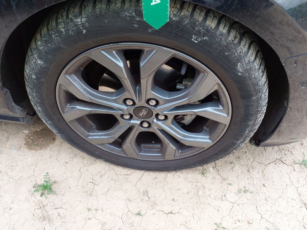 Photo 11