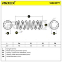 SUS-MSC-RID-SEA-NEW-0029 #1