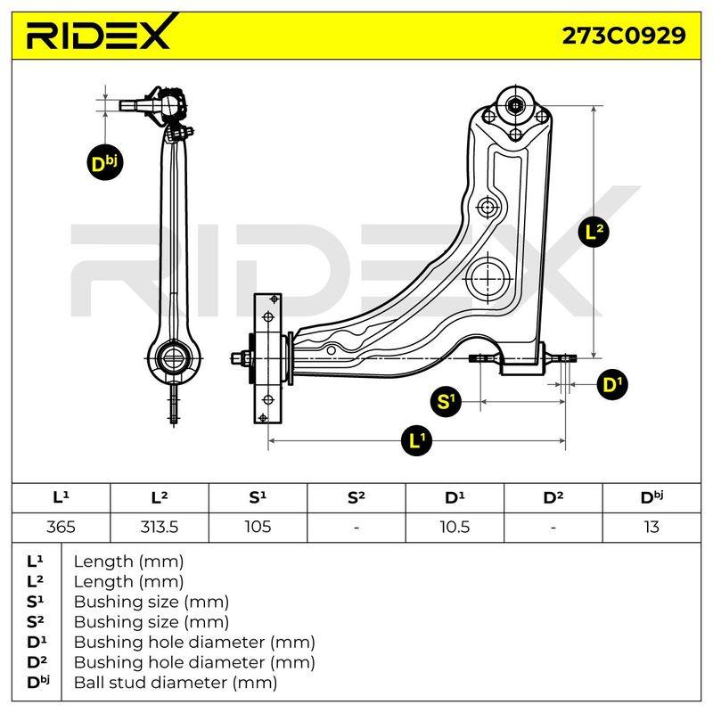 SUS-CAR-RID-LAN-NEW-0029 #4