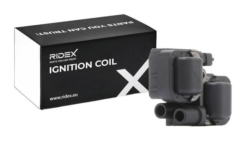 IGN-ICO-RID-CHR-NEW-0002 #2