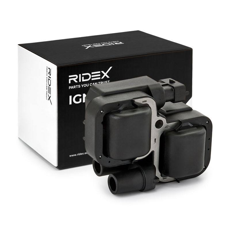 IGN-ICO-RID-CHR-NEW-0002 #3
