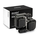 IGN-ICO-RID-CHR-NEW-0002 #3