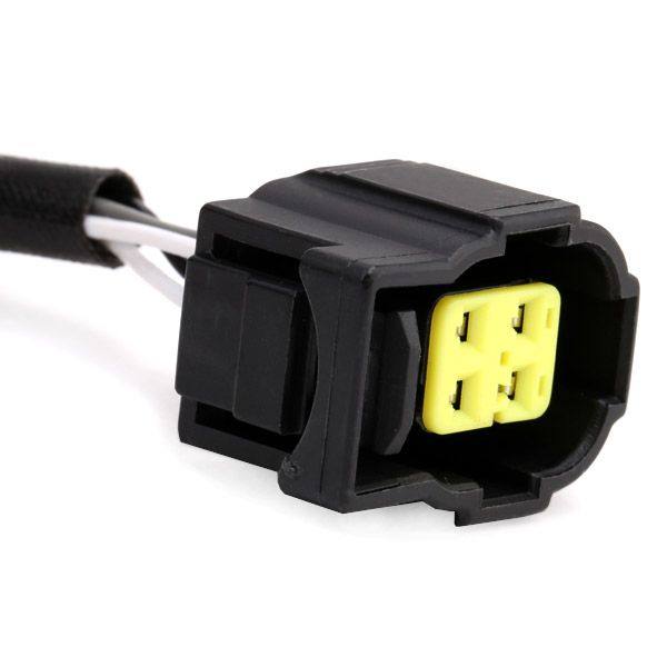 ELE-SEN-RID-CHR-NEW-0004 #1
