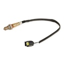 ELE-SEN-RID-MER-NEW-0169 #1