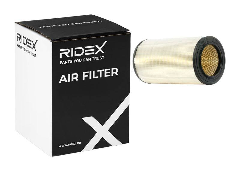 FIL-AIR-RID-LAN-NEW-0012 #4