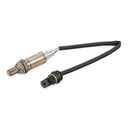 ELE-SEN-RID-BMW-NEW-0013 #4