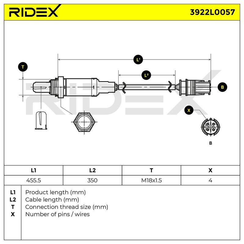 ELE-SEN-RID-BMW-NEW-0029 #3