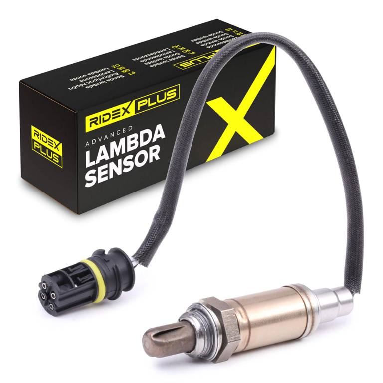ELE-SEN-RID-BMW-NEW-0038 #2