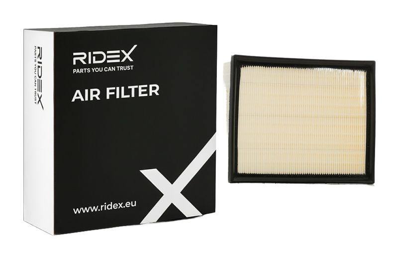 FIL-AIR-RID-REN-NEW-0066 #3