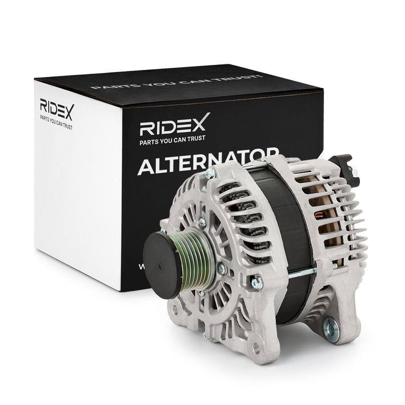 ELE-ALT-RID-MER-NEW-0110 #2