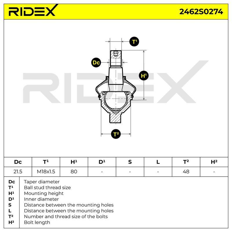 SUS-BJT-RID-PEU-NEW-0005 #4