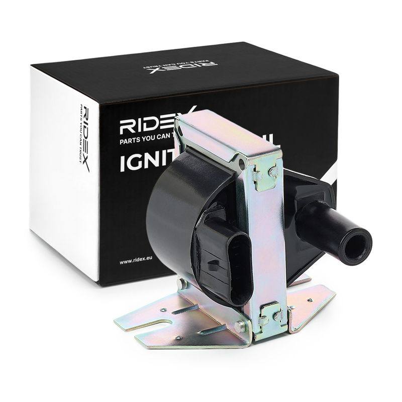 IGN-ICO-RID-LAN-NEW-0001 #3