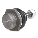 SUS-BJT-RID-ROV-NEW-0009 #1