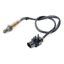 ELE-SEN-RID-FIA-NEW-0008 #4
