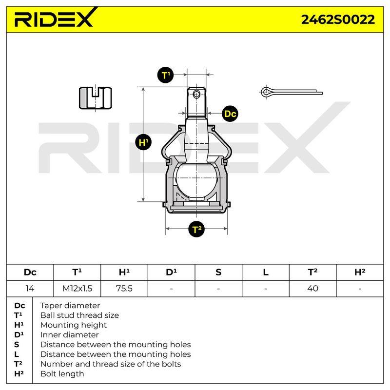 SUS-BJT-RID-ROV-NEW-0003 #3