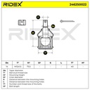 SUS-BJT-RID-ROV-NEW-0003 #3