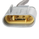 ELE-SEN-RID-LAN-NEW-0107 #1