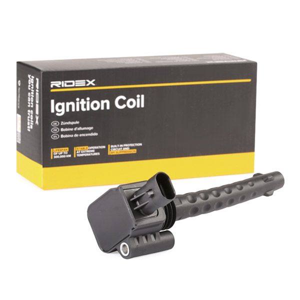 IGN-ICO-RID-LAN-NEW-0021 #1