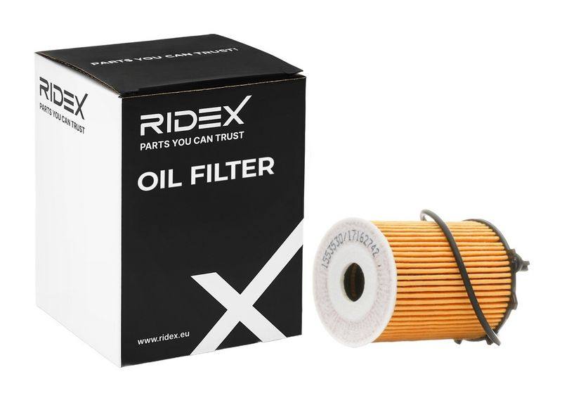 FIL-OIL-RID-LAN-NEW-0015 #3