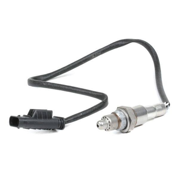 ELE-SEN-RID-BMW-NEW-0015 #1