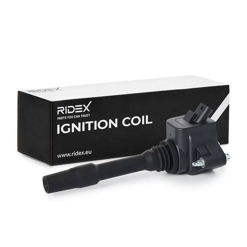IGN-ICO-RID-INE-NEW-0001 #3