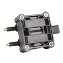 IGN-ICO-RID-PLY-NEW-0004 #4