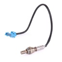ELE-SEN-RID-PEU-NEW-0129 #1