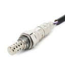 ELE-SEN-RID-CHR-NEW-0076 #1
