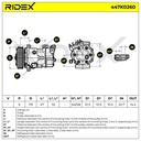 COO-MSC-RID-CIT-NEW-0012 #3