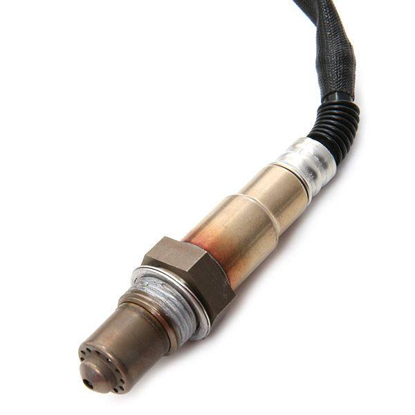 ELE-SEN-RID-BMW-NEW-0151 #1