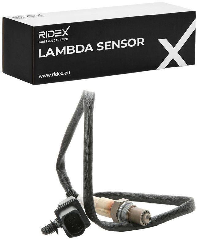 ELE-SEN-RID-BMW-NEW-0151 #4