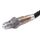 ELE-SEN-RID-BMW-NEW-0164 #1