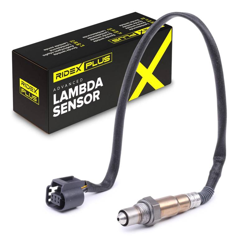 ELE-SEN-RID-BMW-NEW-0163 #1