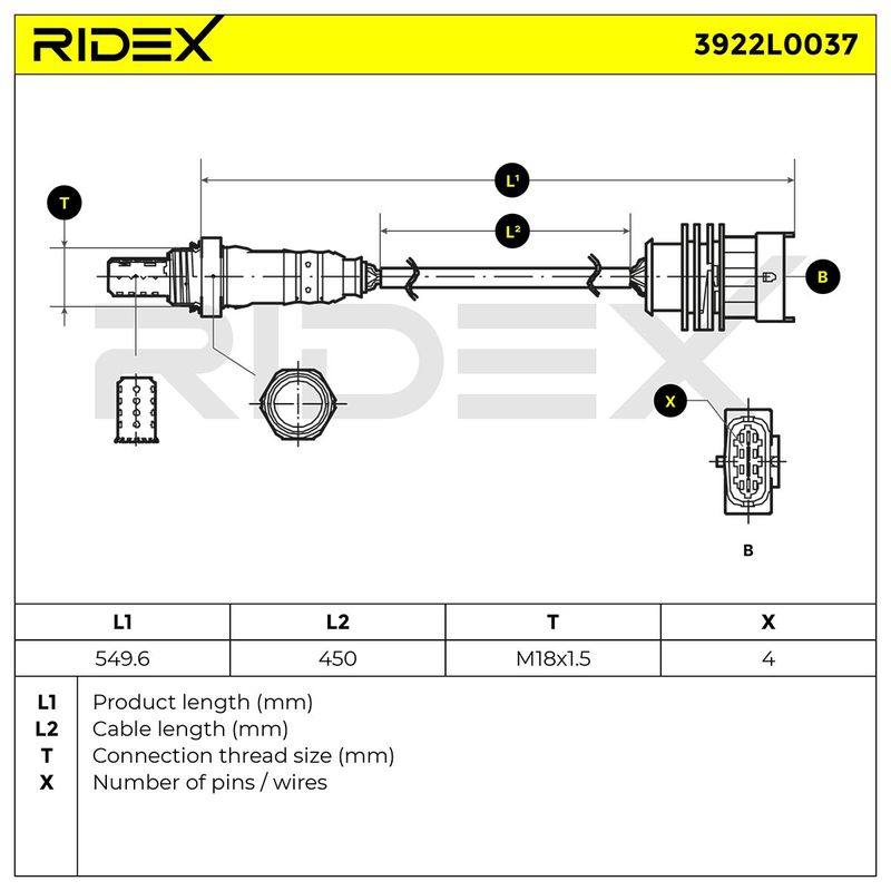 ELE-SEN-RID-CIT-NEW-0041 #3